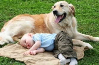 Counseling and Psychotherapy Services for the North Shore and Chicago